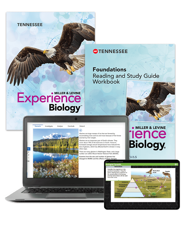 tn-miller-levine-biology-student-edition-and-foundations-workbook-covers-digital-program-cluster-613x750.png