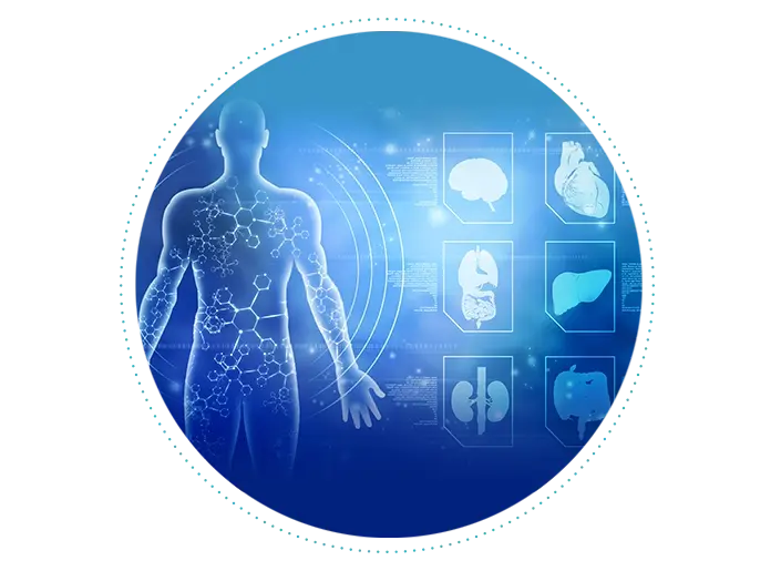 CCR-8482 CTE MEDICAL TERM Program Component2.webp