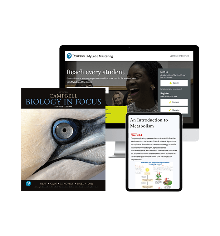 biology-in-focus-product-cluster-4th-edition-update-705x755.png