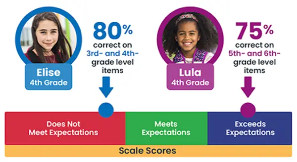 How do criterion-referenced scores work? This diagram shows that criterion-referenced scores often place students into different performance categories, such as 'does not meet expectations,' 'meets expectations,' and 'exceeds expectations.'