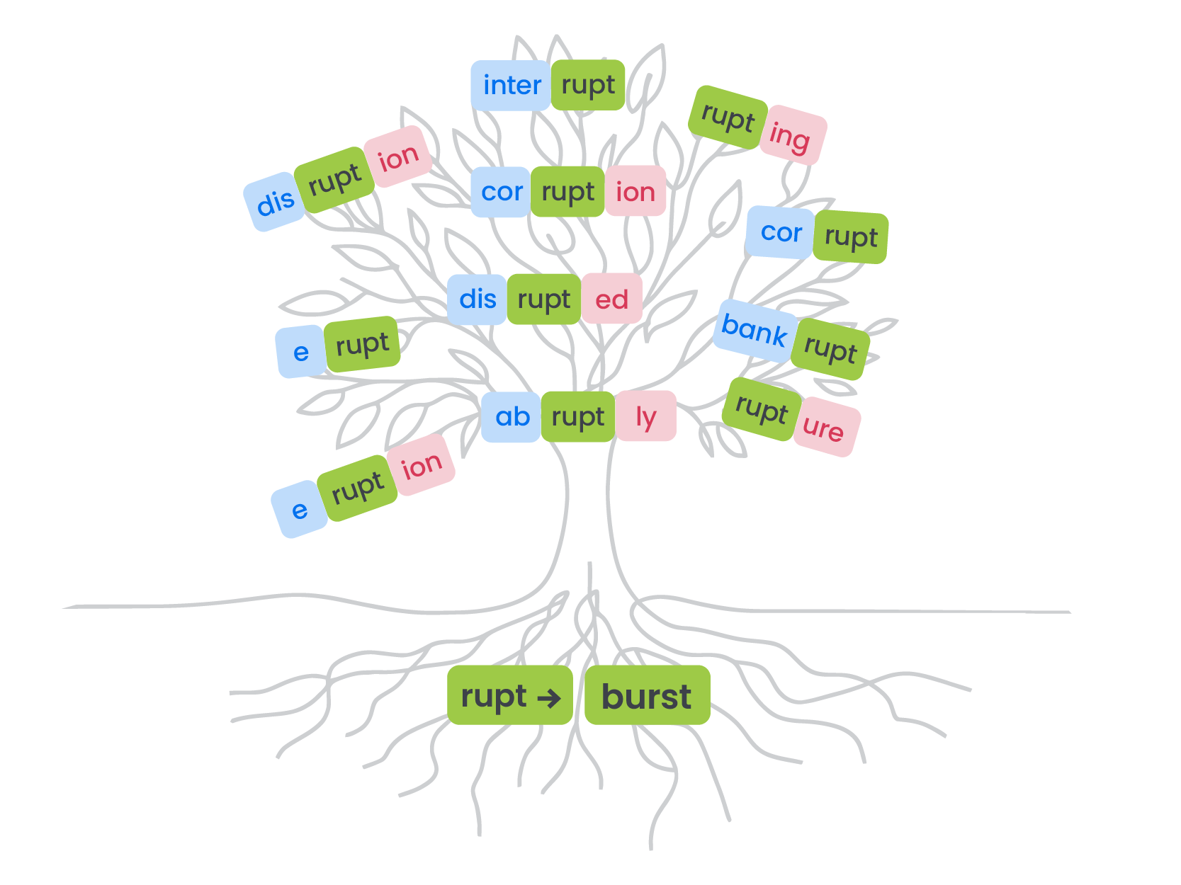 Morphology tree classroom practice activity where students add prefixes and suffixes to a root morpheme to form new words.