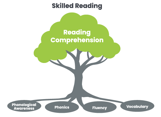 This image shows a tree labeled “skilled reading” with the words phonological awareness, phonics, fluency, and vocabulary as the roots of the tree all leading up to the foliage, which is labeled as reading comprehension.