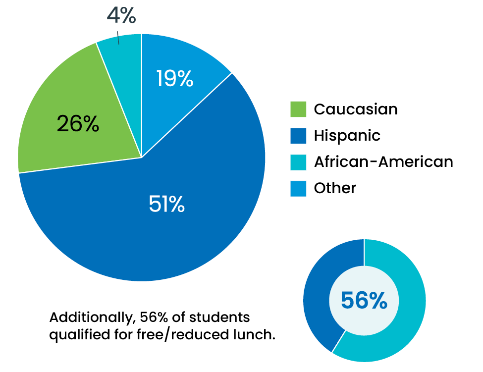 5810616SS1-enVision-HighSchool-PieChart.png