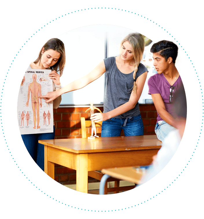 students-presenting-anatomy-project-705x755.png
