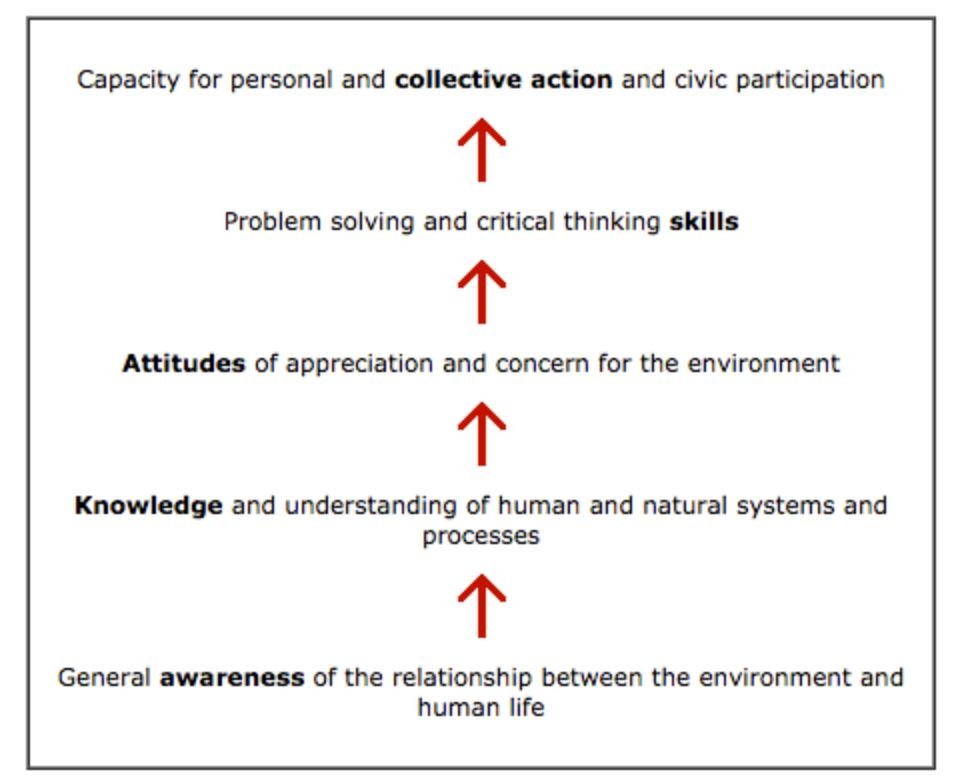 five essential components of environmental literacy