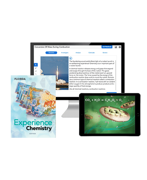 florida-experience-chemistry-book-cover-digital-program-cluster-613x750.png
