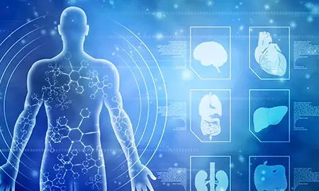 CCR-8482 CTE MEDICAL TERM Program Thumb.webp