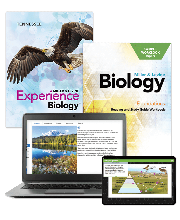 tn-miller-levine-biology-student-edition-and-foundations-workbook-covers-digital-program-cluster-613x750.png