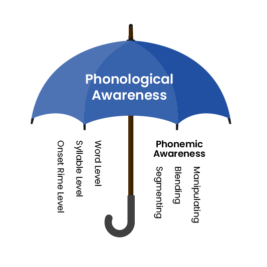 This is an image of an umbrella showing that phonological awareness is an umbrella term that includes multiple skills including phonemic awareness.