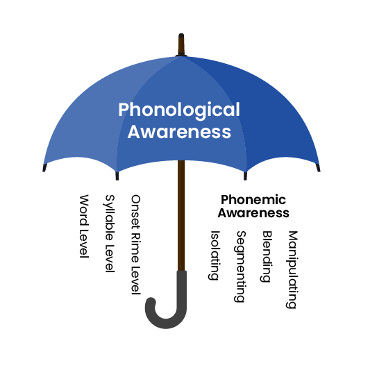 In Structured Literacy, Phonological Awareness is an umbrella term comprising several skills, including Phonemic Awareness.