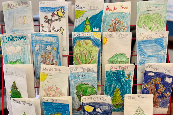 An image of a project Monroe Township School District students completed as part of a myView Literacy lesson.