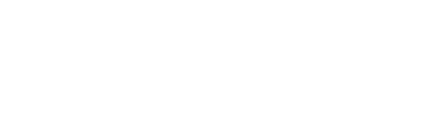 ACE Logo_white-horiz.png