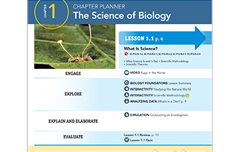 02-florida-biology-planning-337x214.png