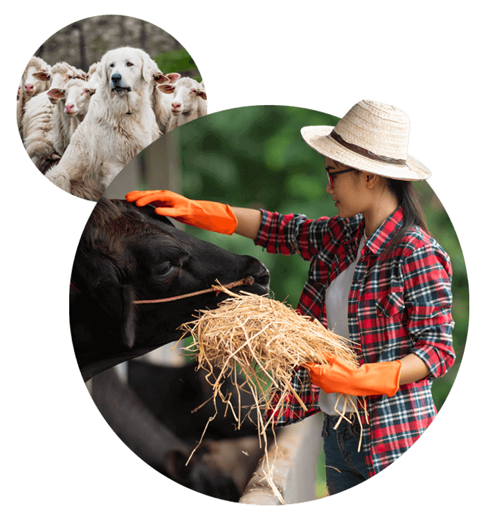 CTE-agriscience-faqs.png
