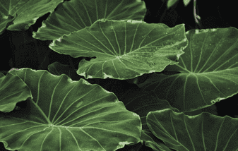 CTE-mylabdesign-comp2-ben3-11223.png