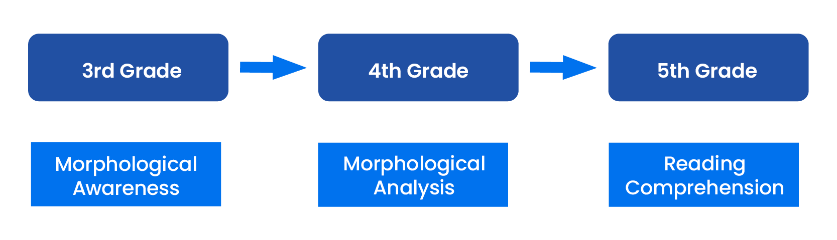 Results of the study showed that receiving morphological awareness instruction in 3rd grade leads to better morphological analysis in 4th grade, which leads to strong reading comprehension in 5th grade.
