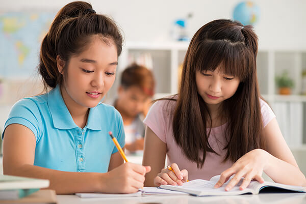 Two middle school students working together on a reading assignment at their desk.