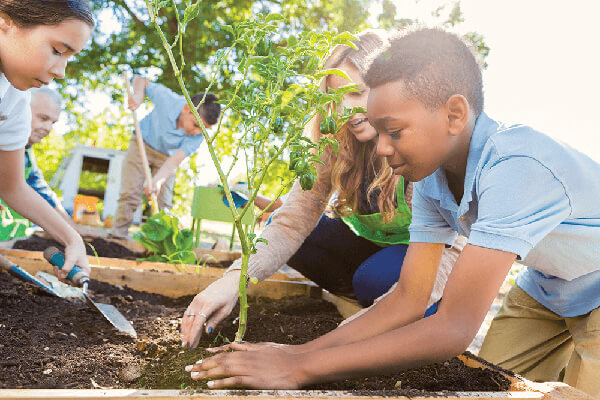 A student plants a tree alongside a teacher as part of a hands-on science lesson.