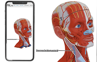 04-practice-anatomy-lab-337x214.png