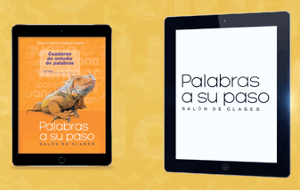Palabras-video.png