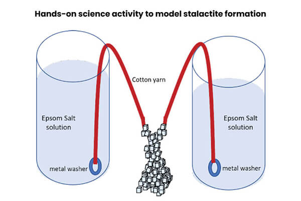 Diagram of two cups, each filled with epsom salt solution. A strand of yarn is strung between the two cups, with a metal washer on each end to keep the ends submerged. Small salt crystals are forming on the yarn dangling between the two cups.