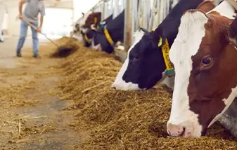 CCR-7878 CTE Agri Component2.2 realworld.webp