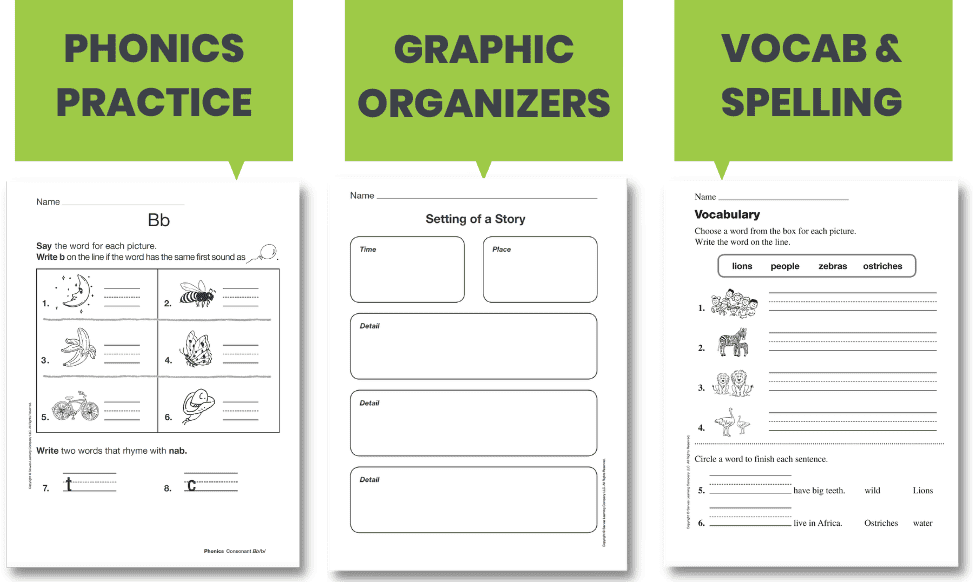 Savvas Now Literacy Resource Assortment