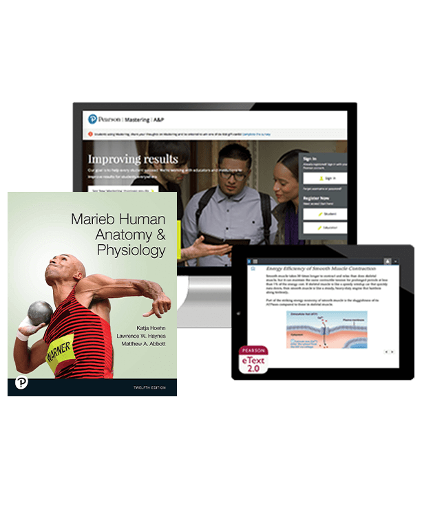 marieb-human-anatomy-and-physiology-cluster-updated-1223-613x750.png
