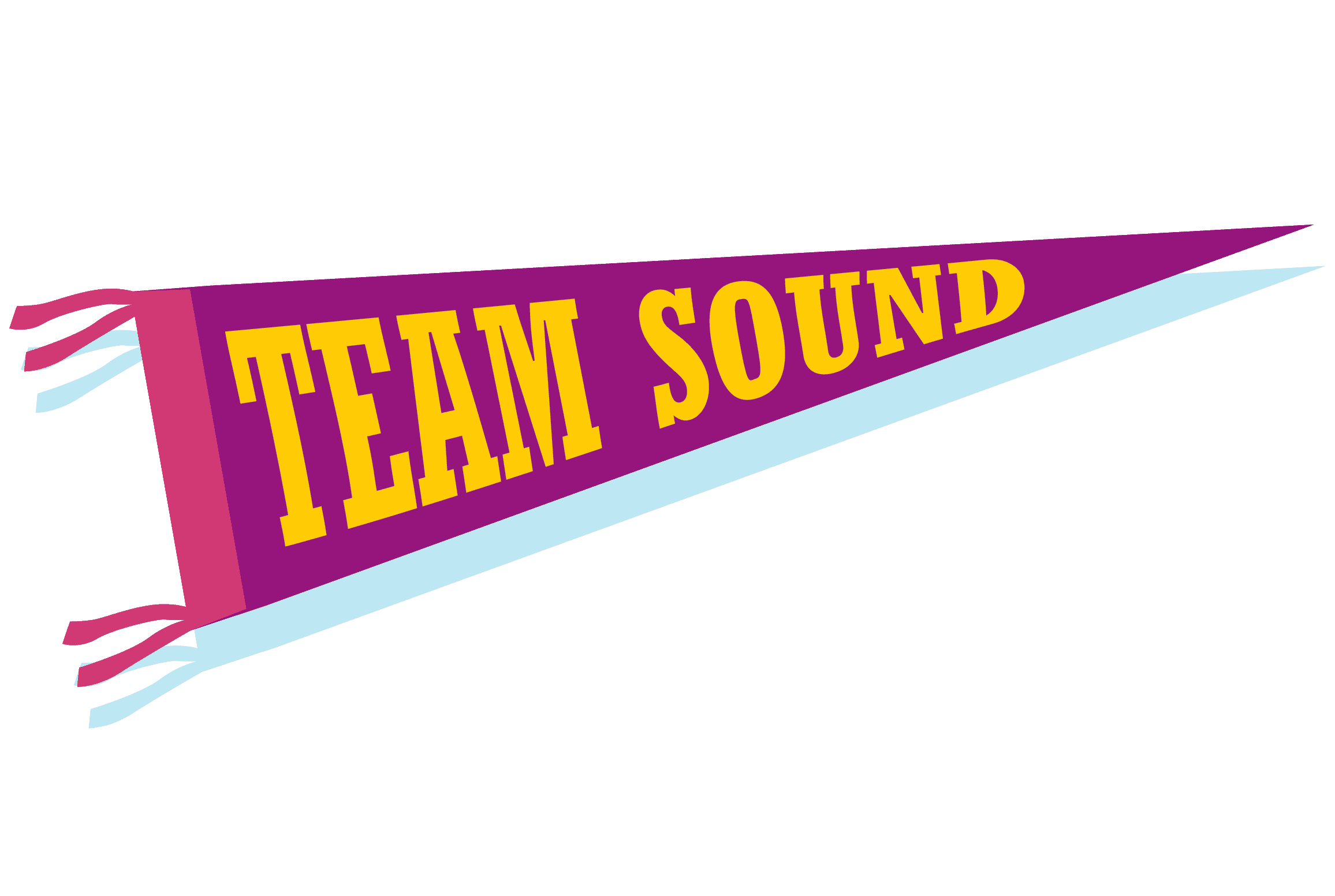 Image of a sports banner that reads “Team Sound.