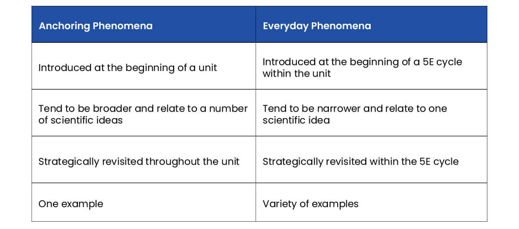 This table shows the differences between anchoring phenomena and everyday phenomena