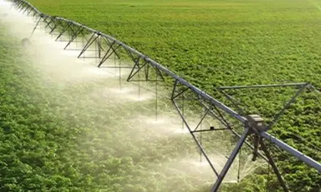 CCR-7878 CTE Agri Thumb.webp