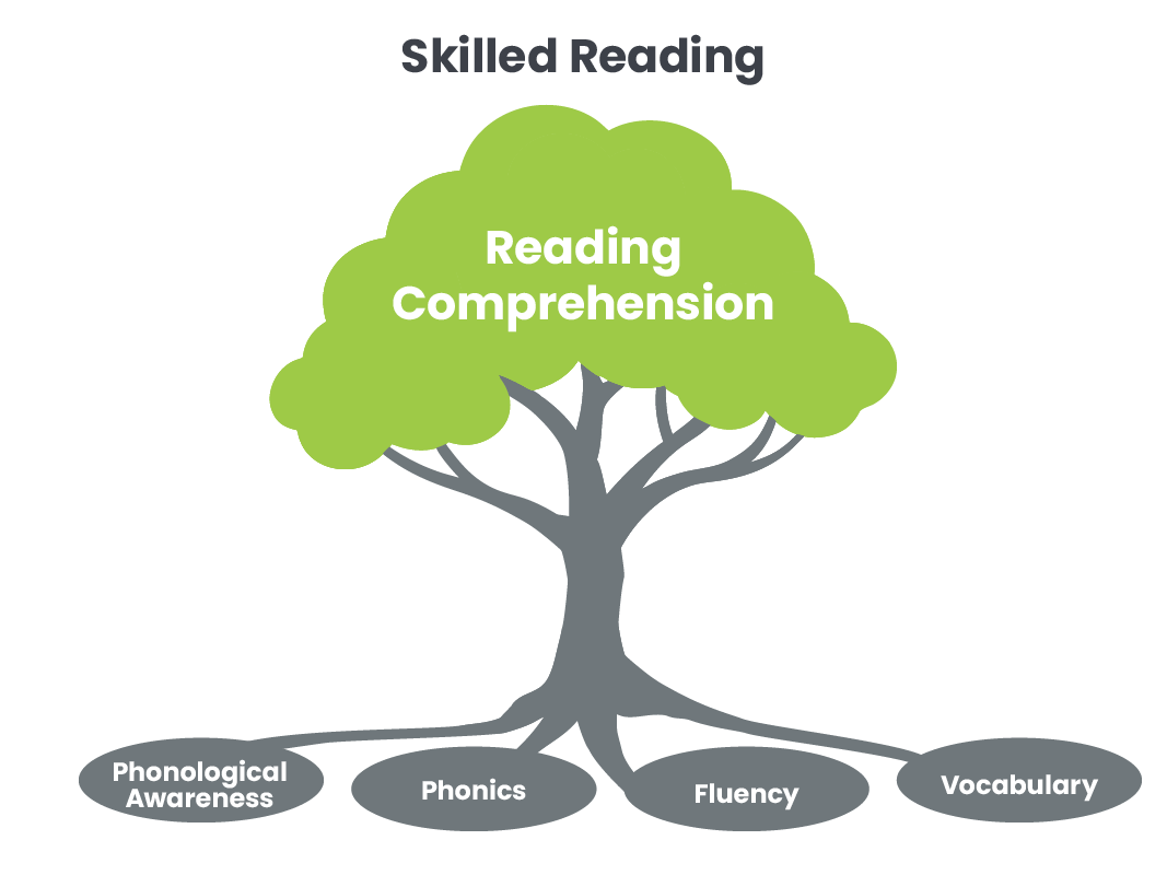 Graphic showing foundational reading skills, such as phonemic awareness, phonics, fluency, and vocabulary make up the roots of a tree. The foundational skills lead up to the rest of the tree, which represents skilled reading. It all leads up to the foliage, which is reading comprehension. 
