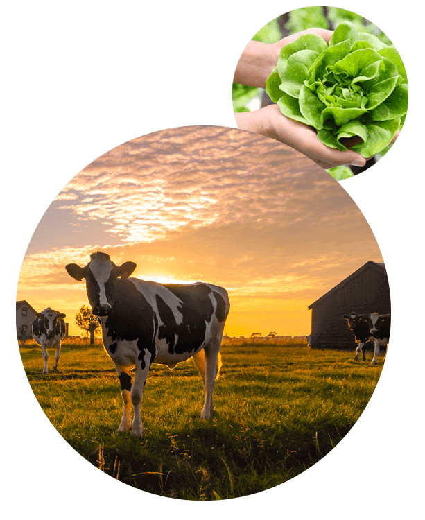 CTE-agriscience-featured-content.png