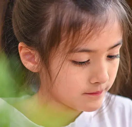 Mount Olive Township School District