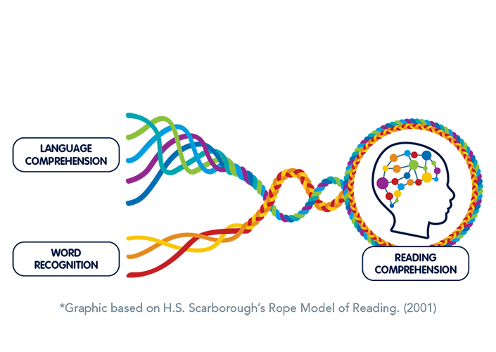 myview25howthebrainlearnstoread705x500 (1).png