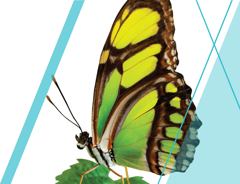 savvas-header-bade-foundations-economics.png