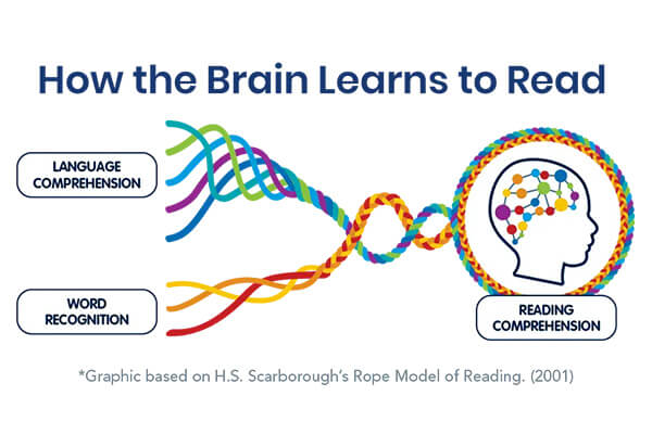 Scarborough’s Rope shows the complexity of reading development.