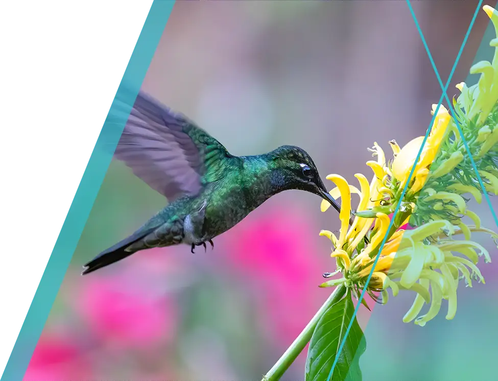 savvas-header-experience-biology-mql-082026-945x746.webp