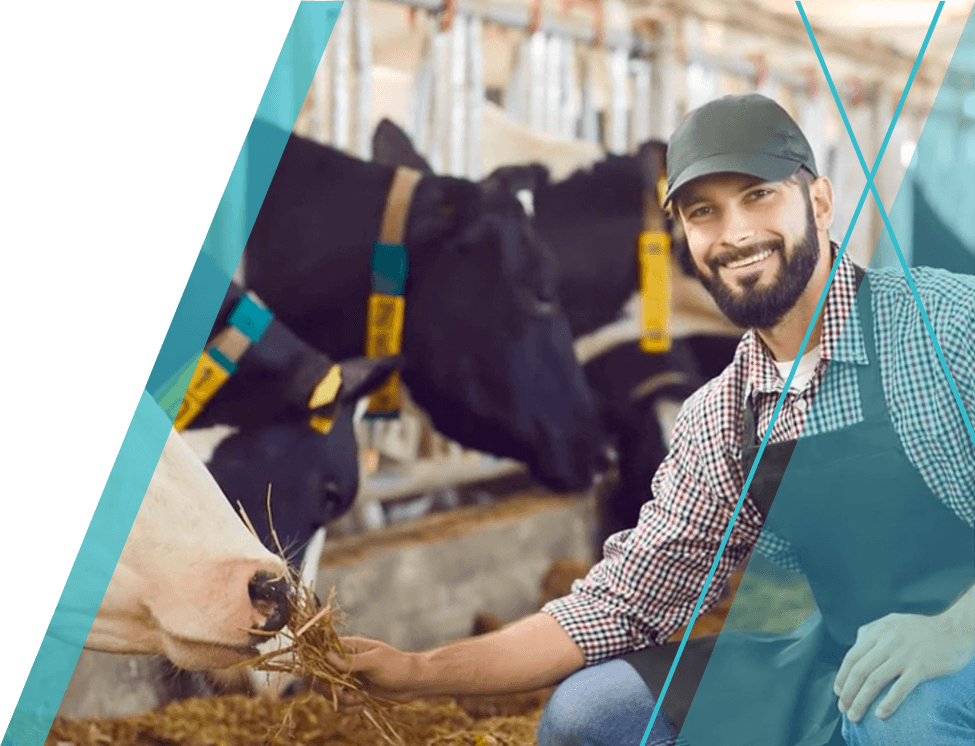 Prepare students for careers in agriculture with Agriscience II, including managing livestock, making plants and crops,