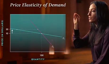 Elasticity Thumb.webp