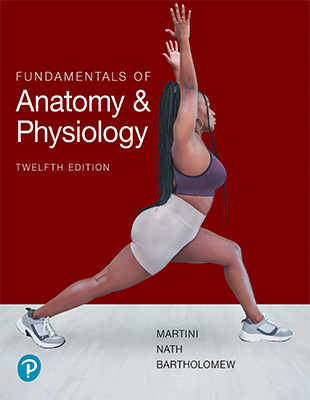 Fundamentals of Anatomy & Physiology 12th Edition ©2024 Martini, Nath