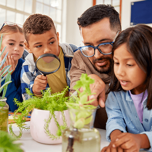 teacher-showing-plants-to-students-in-class-500x500.png
