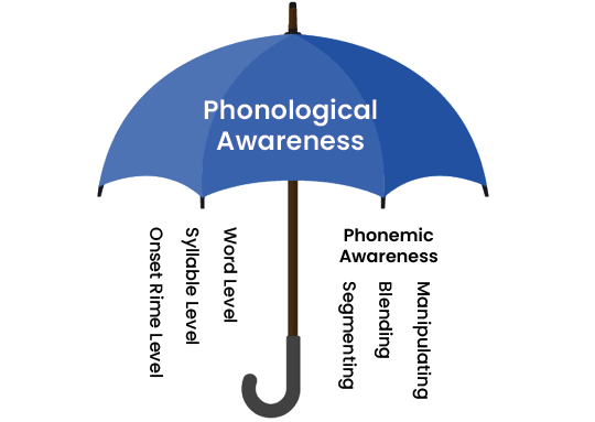This image shows an umbrella labeled as “phonological awareness” with the following terms falling underneath the umbrella: onset rime, syllable, word, and phonemic awareness, which has segmenting, blending, and manipulating under it.
