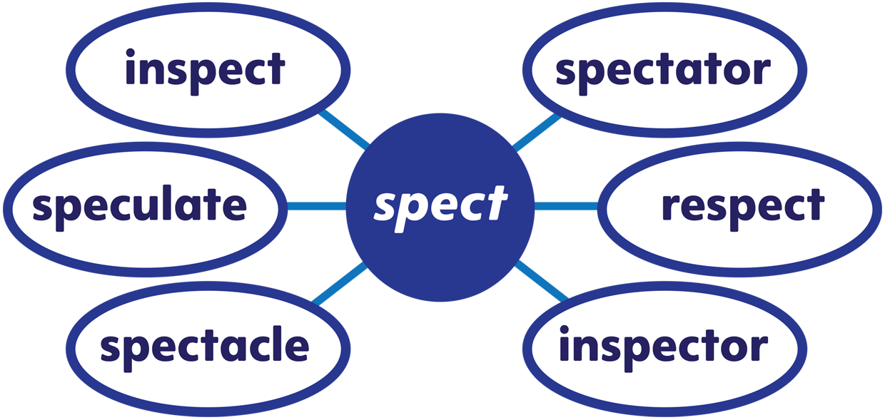 A completed word web for the Latin word root spec featuring inspect, speculate, spectacle, spectator, respect, and inspector.